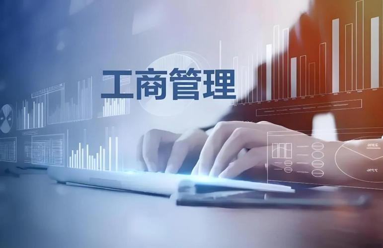 企业管理 从效率到韧性的系统进化